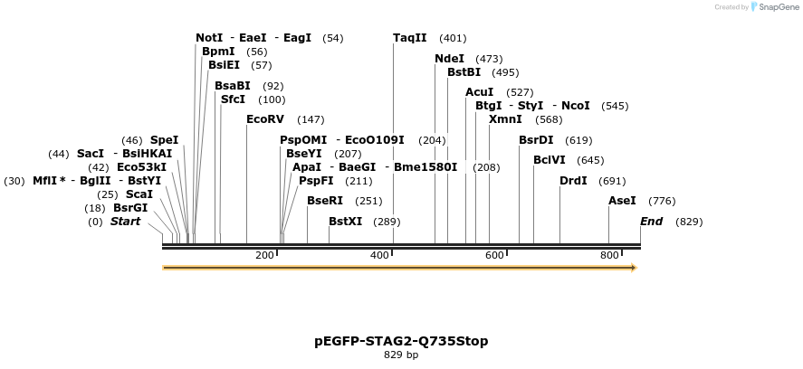 36915_map