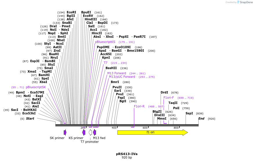 36917_map