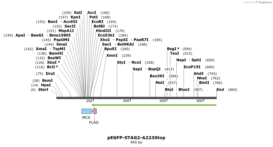 36918_map