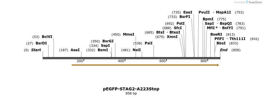 36919_map