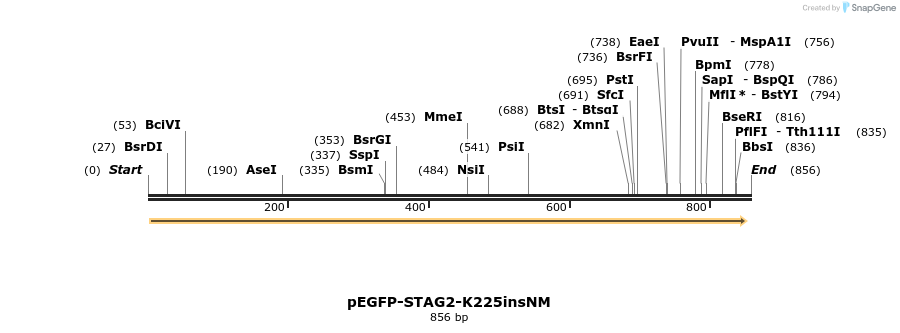 36921_map