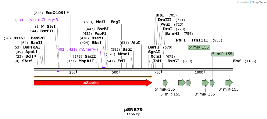 369223_map