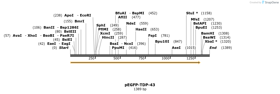 369228_map