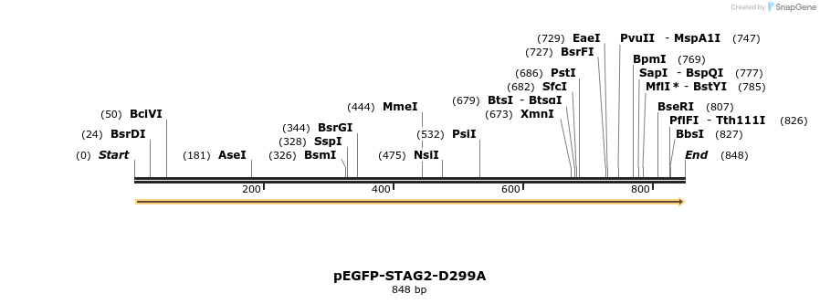 36925_map