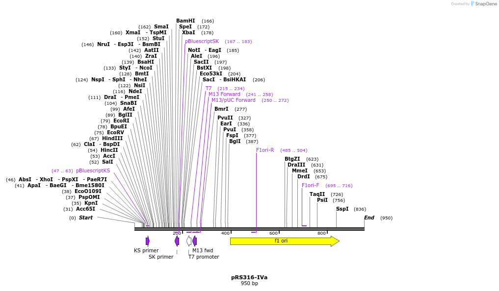 36930_map