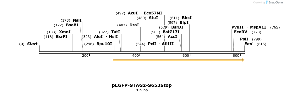 36931_map