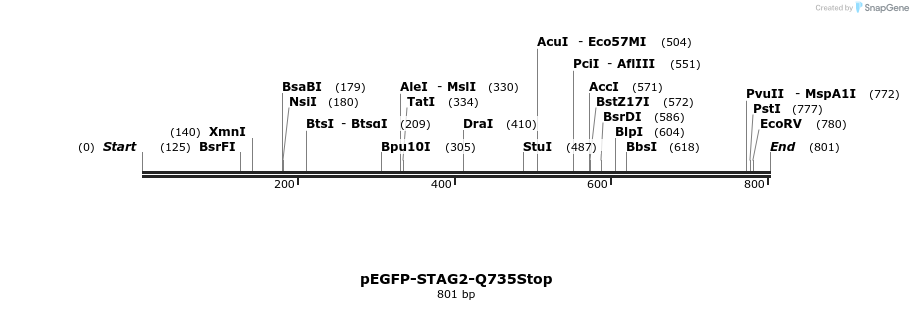 36935_map