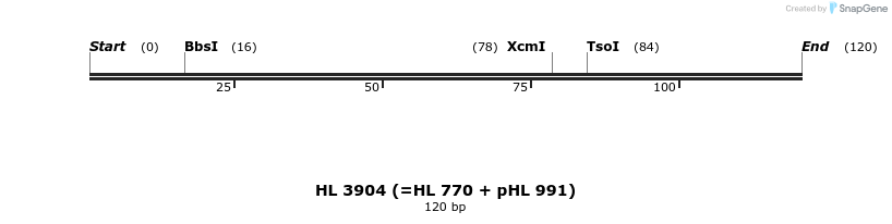 36938_map