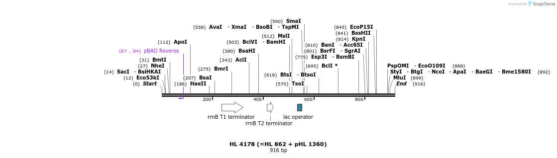 36942_map