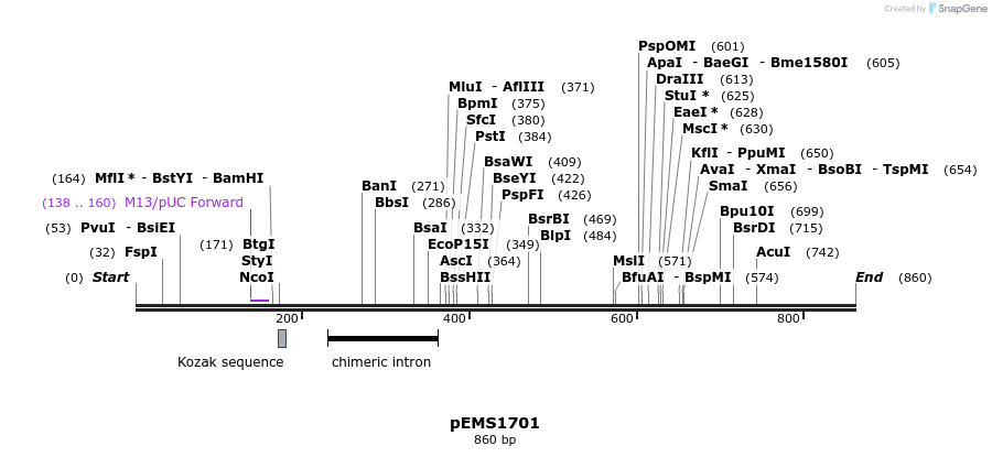 36962_map