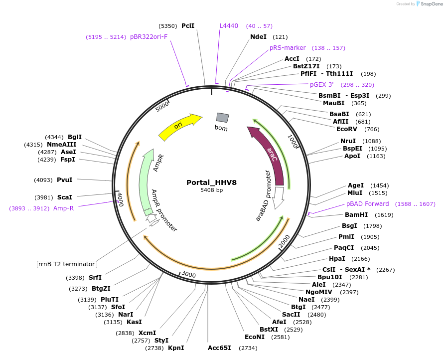 369667_map
