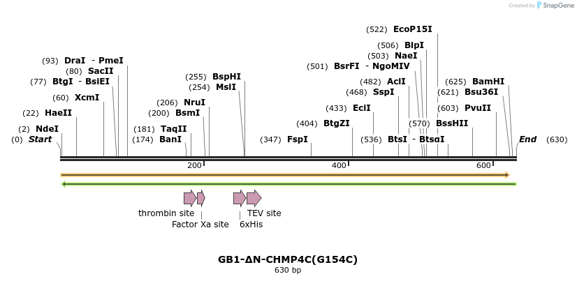 369674_map