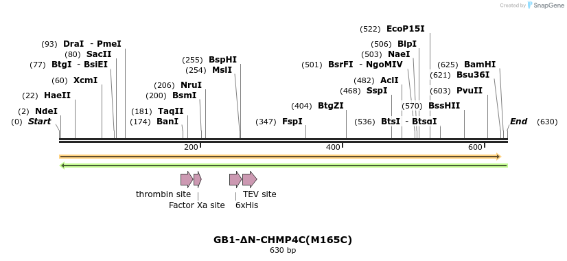 369678_map