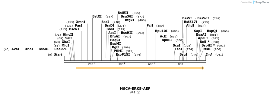 36970_map