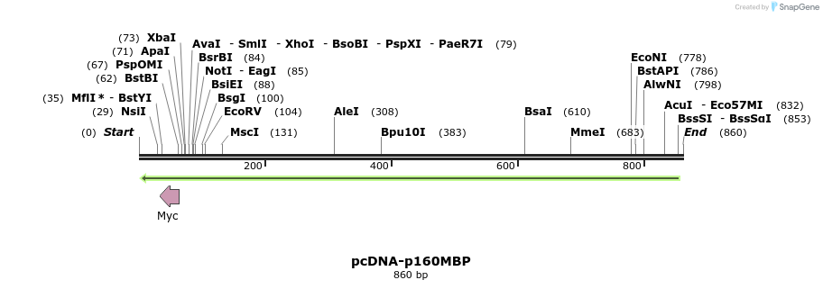36979_map