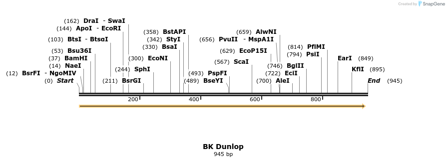 36980_map