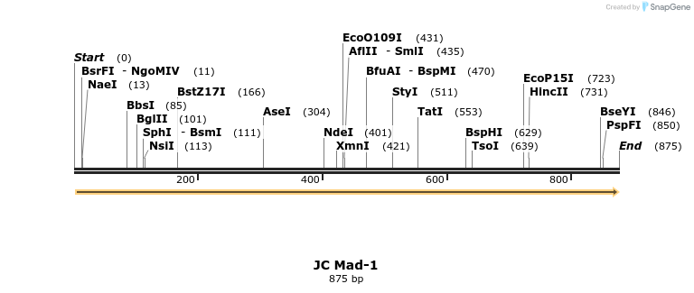 36981_map