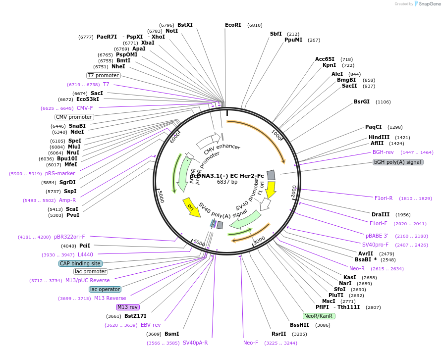 369821_map