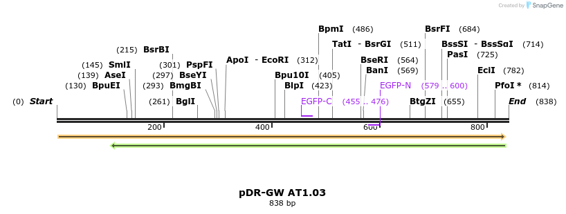 36984_map