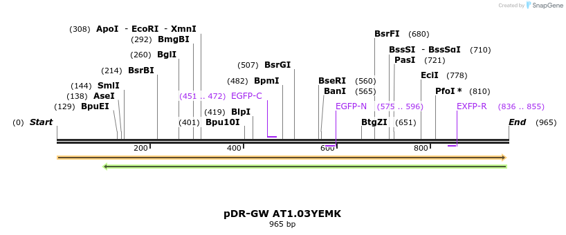 36985_map