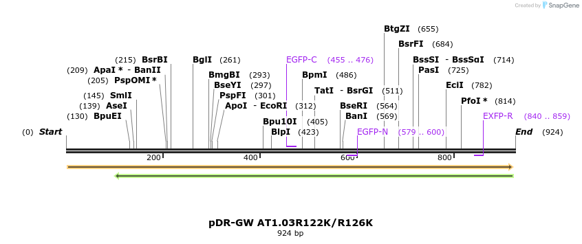 36987_map
