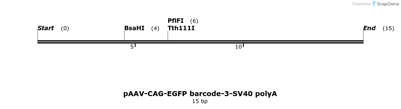 369948_map