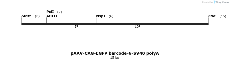 369957_map