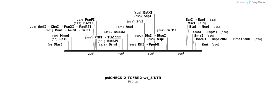 36998_map