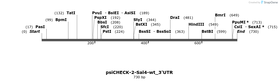 36999_map