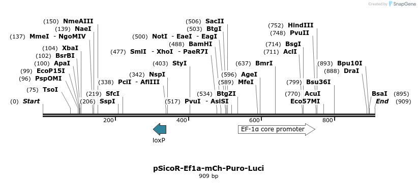 37001_map
