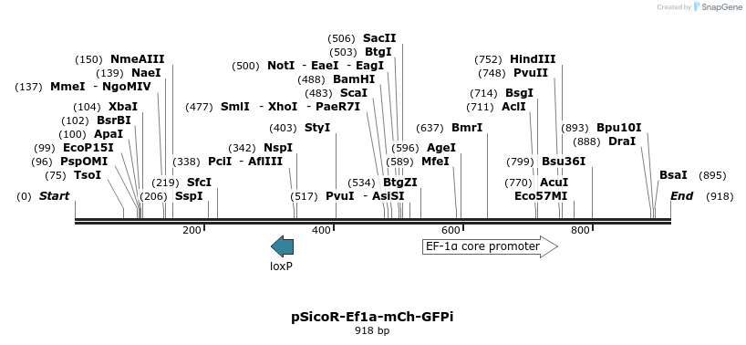 37002_map