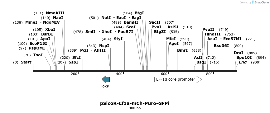37003_map