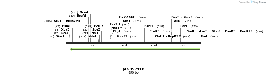 37009_map
