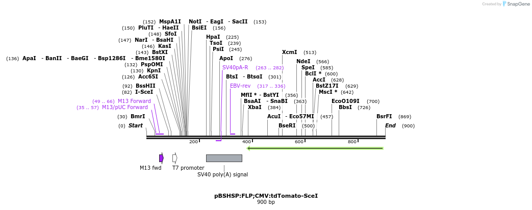 37010_map