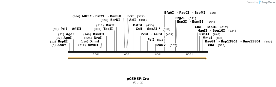 37011_map