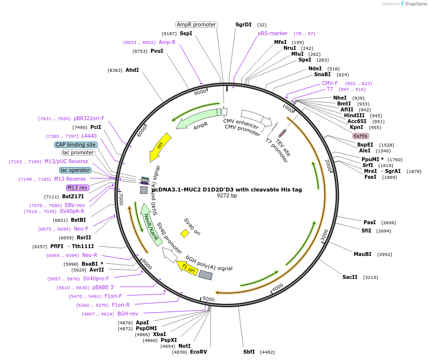 370114_map