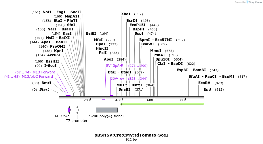 37012_map