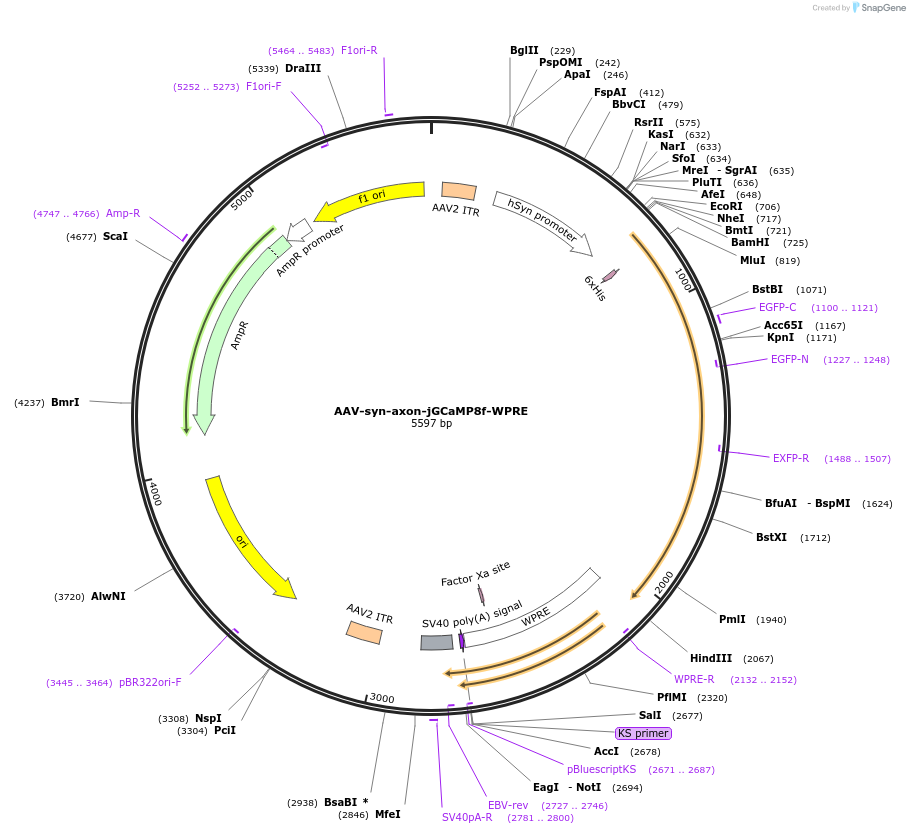 370171_map