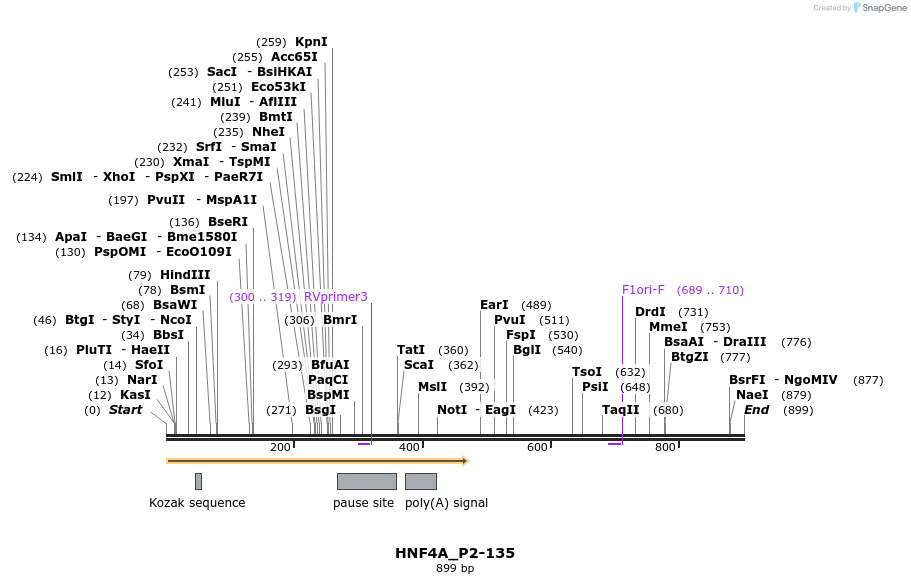 37019_map