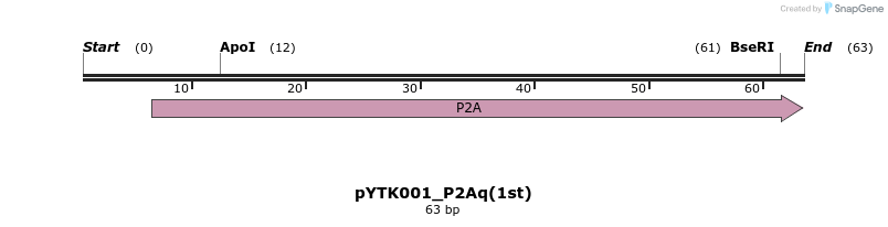 370197_map