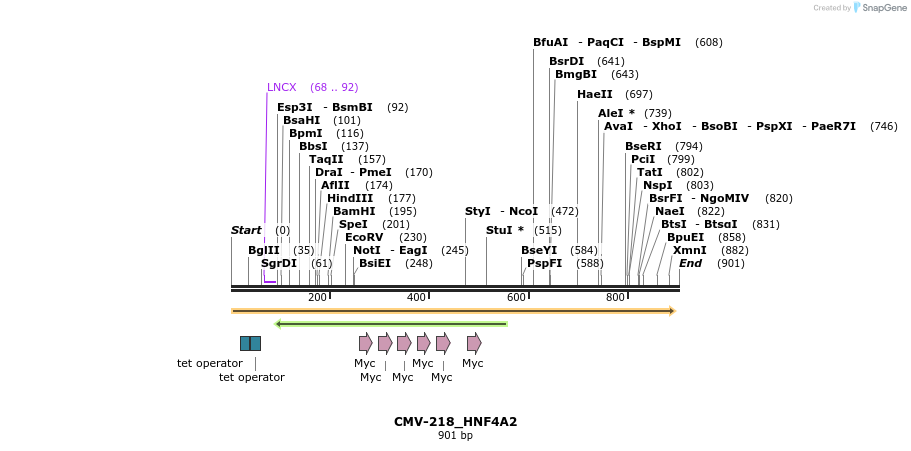 37020_map