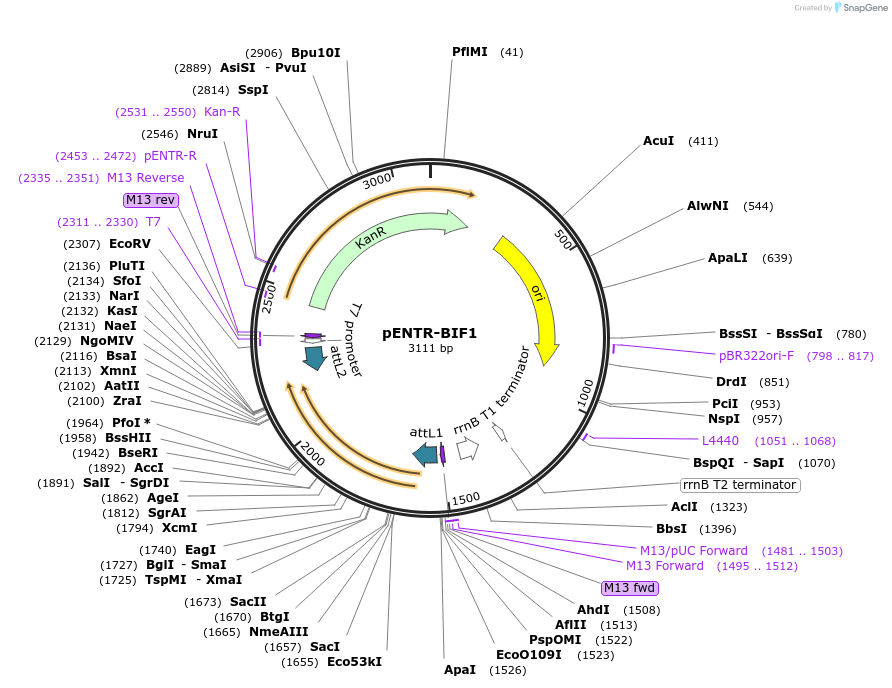 370209_map
