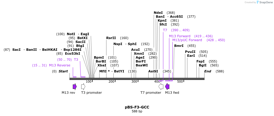 37021_map