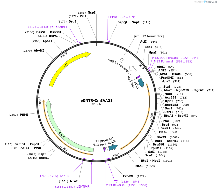 370215_map