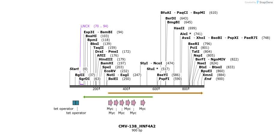 37022_map