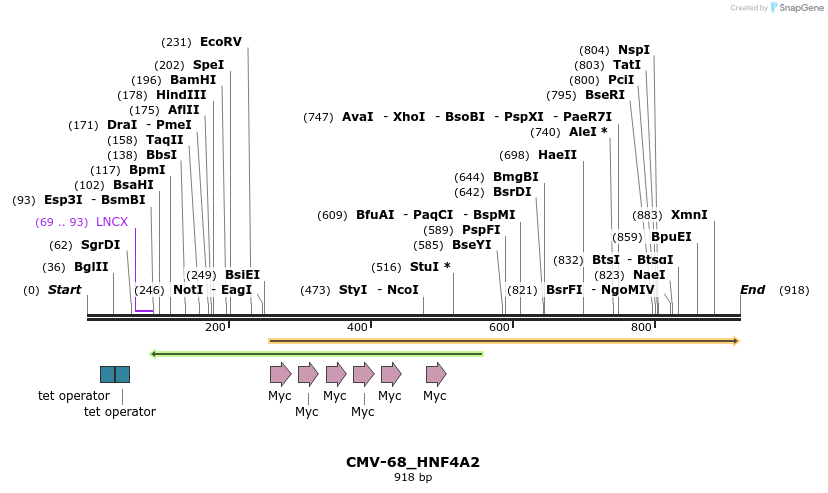 37024_map