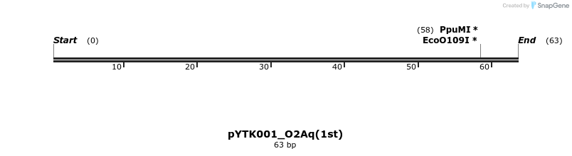 370262_map