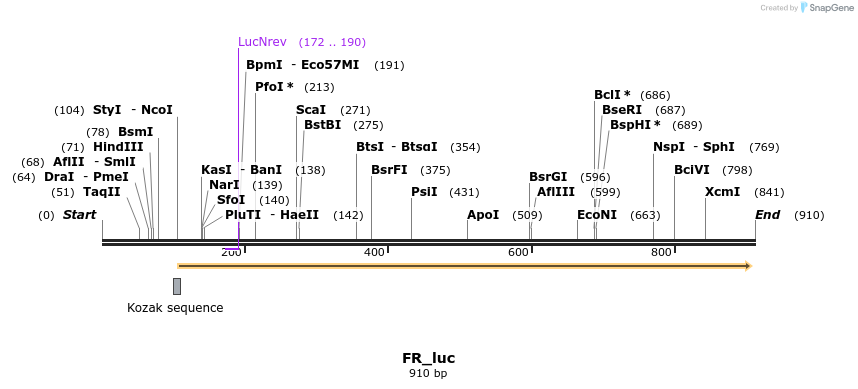 37031_map