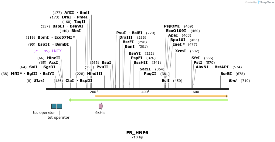 37033_map