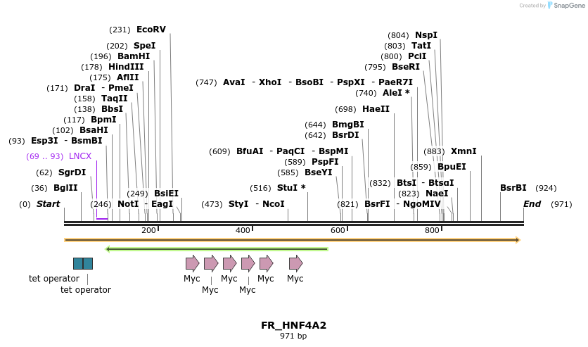 37035_map